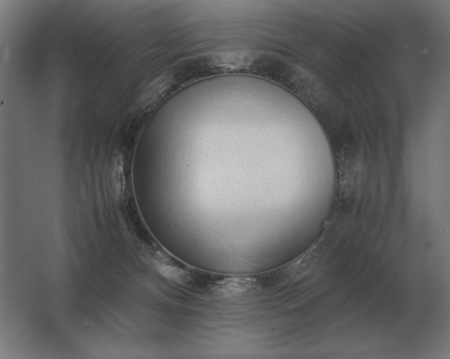 X0000062800128200512290258