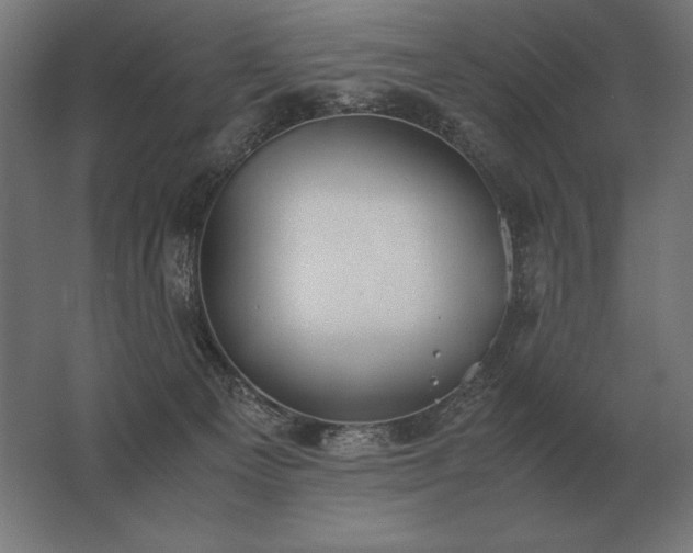 X0000062800129200512290258