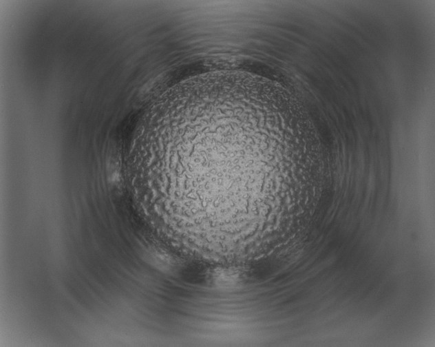 X0000062800134200512290258