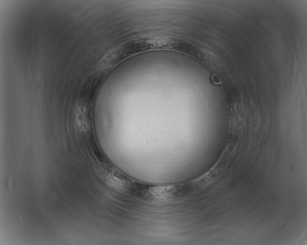X0000062800136200512290258