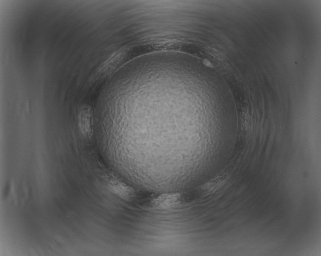 X0000062800138200512290258