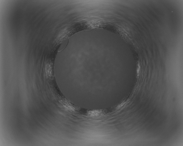X0000062800139200512290258