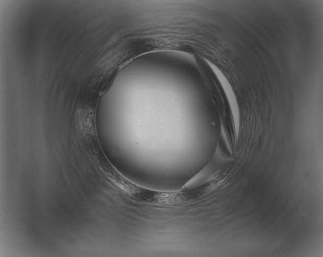 X0000062800141200512290258