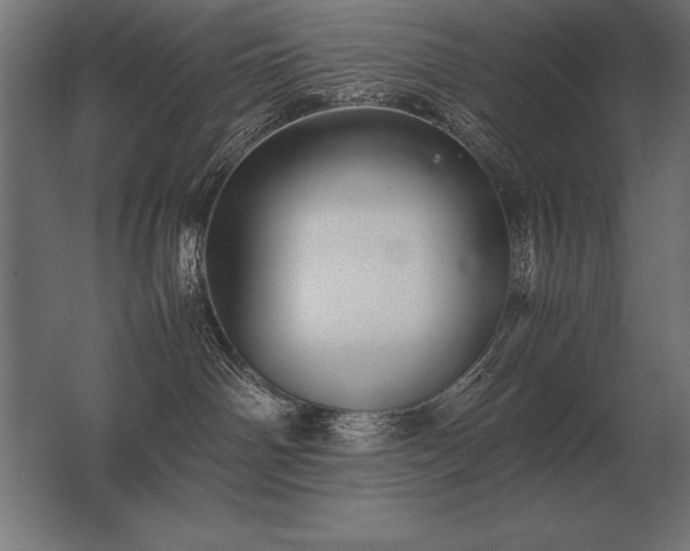 X0000062800142200512290258