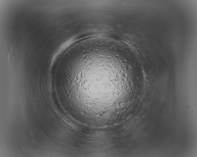 X0000062800149200512290257