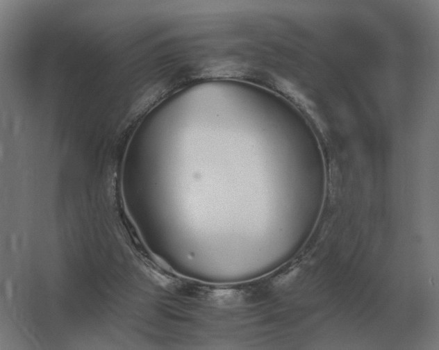 X0000062800153200512290257