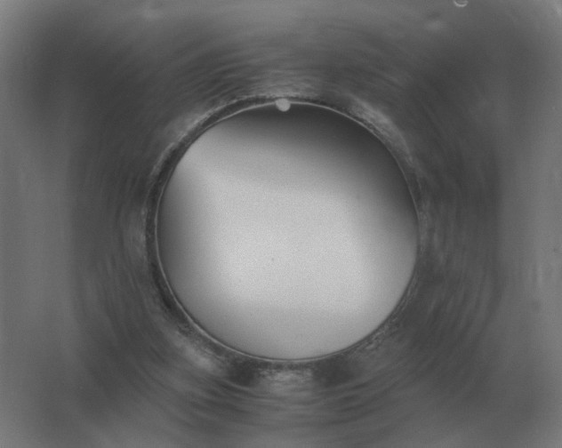 X0000062800155200512290257