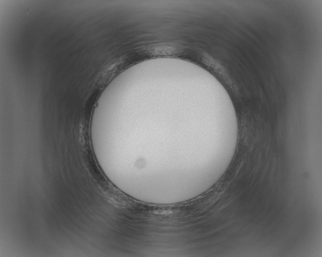 X0000062800161200512290257