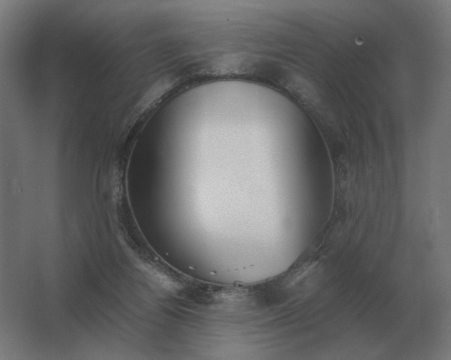 X0000062800164200512290257