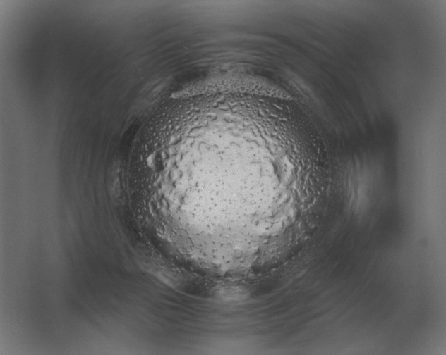 X0000062800169200512290258