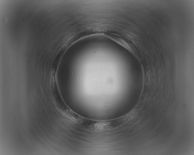 X0000062800172200512290258