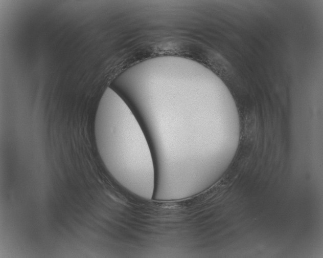 X0000062800173200512290258
