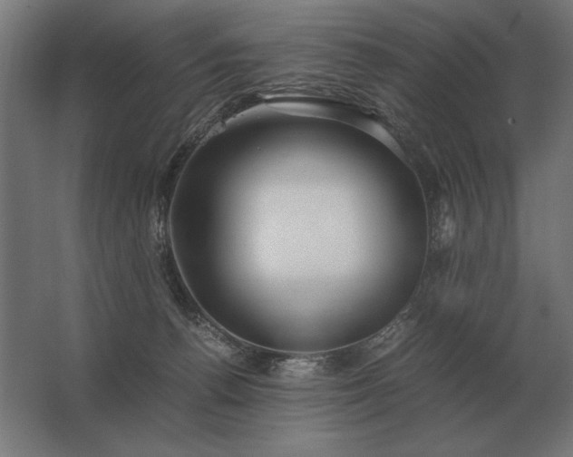 X0000062800176200512290258