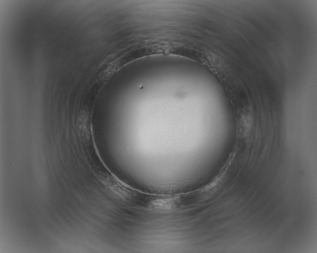 X0000062800178200512290258