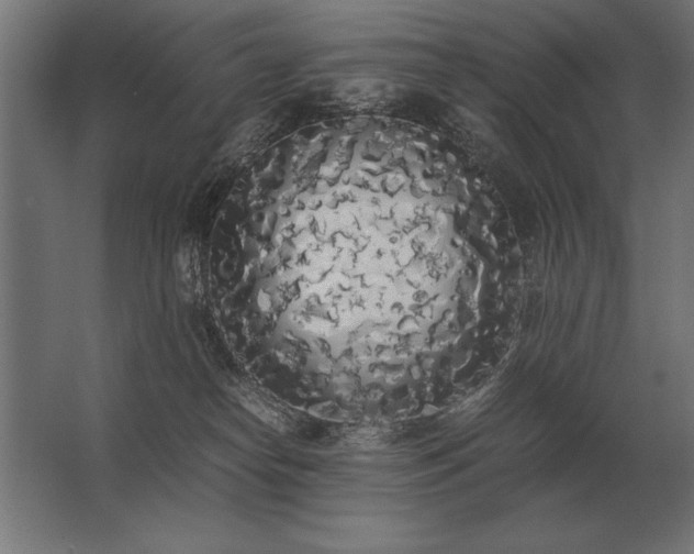 X0000062800182200512290258
