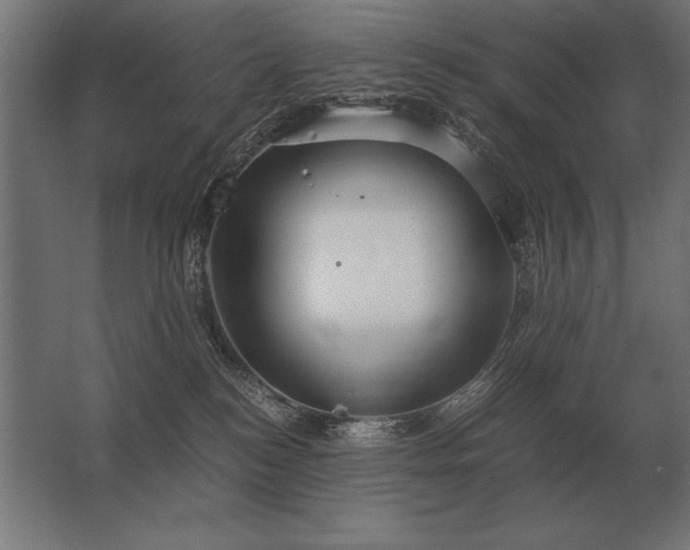 X0000062800184200512290258