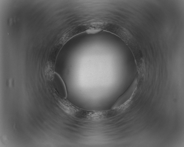 X0000062800186200512290258
