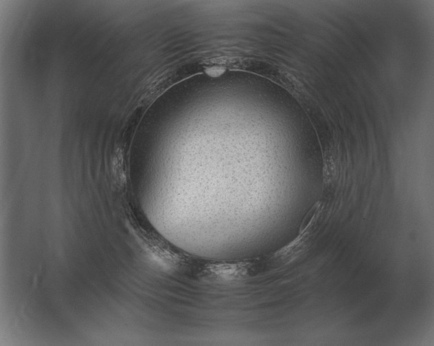 X0000062800187200512290258