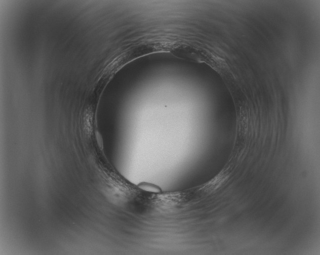 X0000062800188200512290258