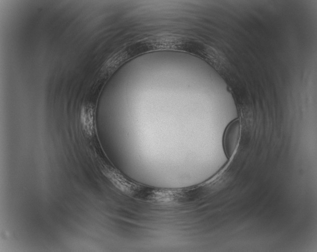 X0000062800190200512290258