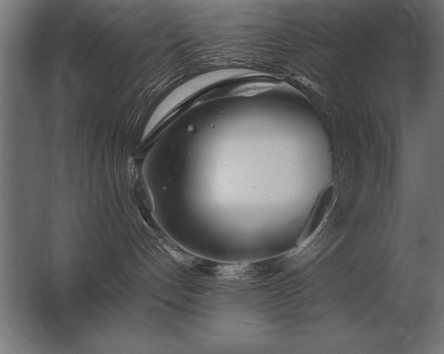 X0000062800192200512290258