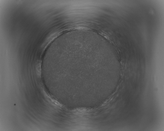 X0000062800194200512290257