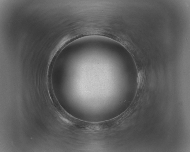 X0000062800195200512290257