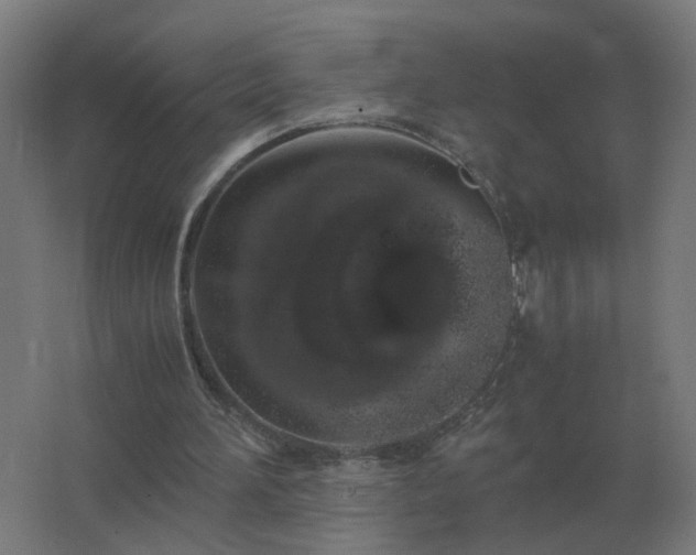 X0000062800196200512290257