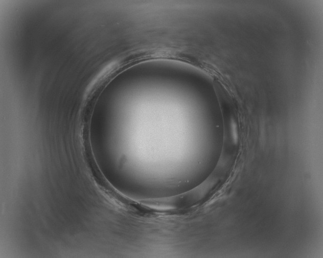 X0000062800197200512290257