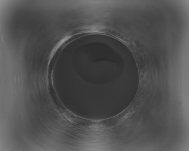 X0000062800200200512290257