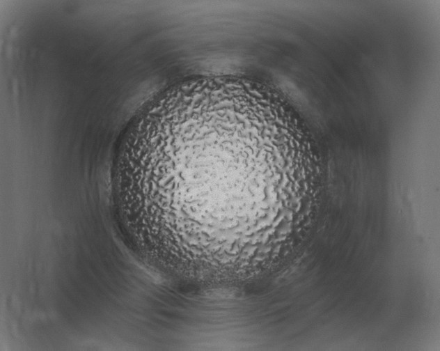X0000062800202200512290257