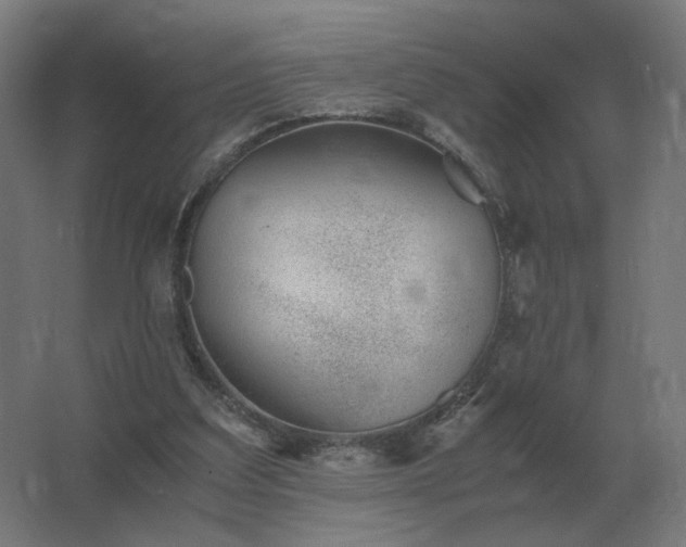 X0000062800203200512290257