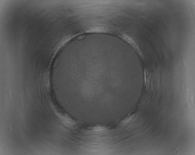 X0000062800204200512290257