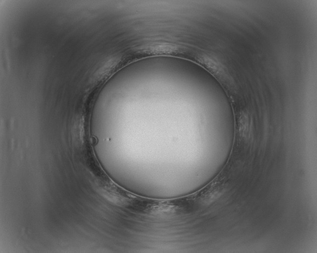X0000062800206200512290257