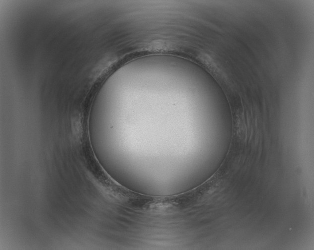 X0000062800208200512290257