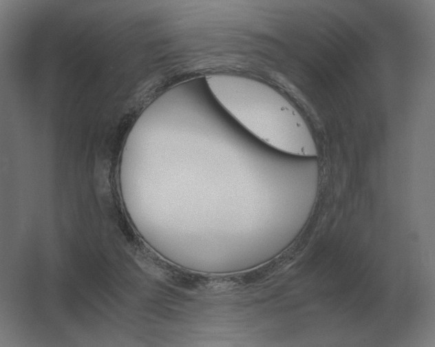X0000062800209200512290257
