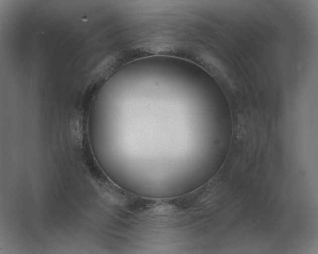 X0000062800210200512290257