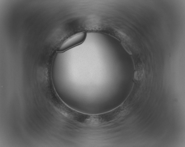 X0000062800211200512290257
