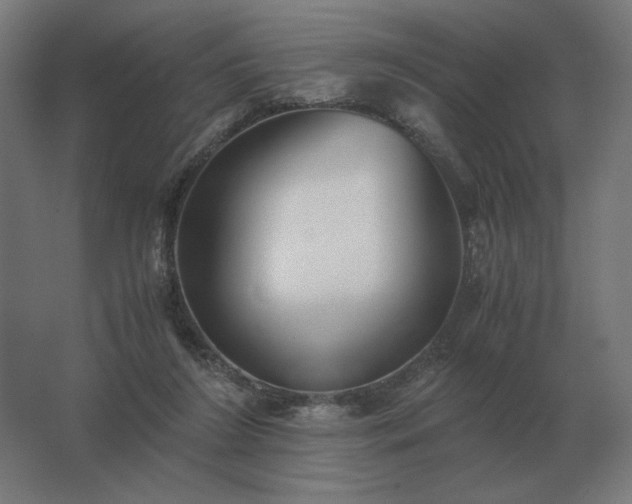 X0000062800212200512290257