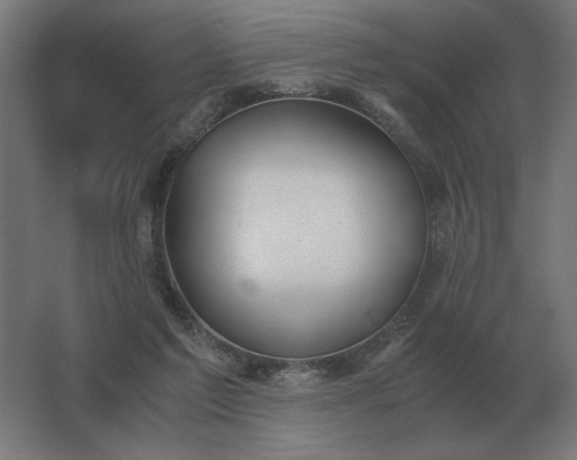 X0000062800213200512290257