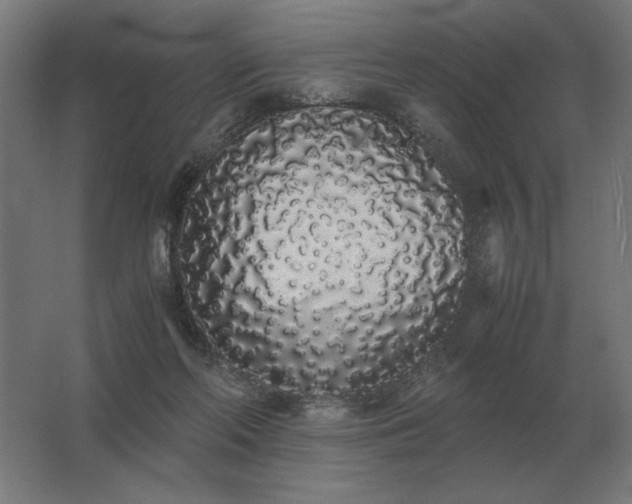 X0000062800214200512290257