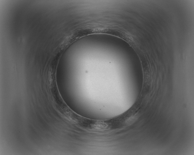 X0000062800215200512290257