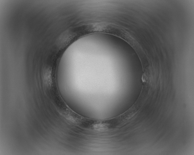 X0000062800216200512290257