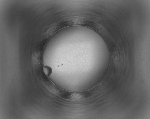 X0000062800218200512290257