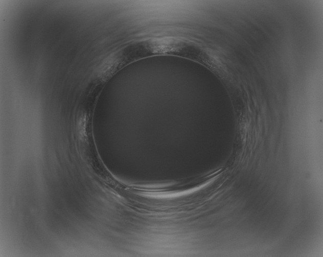 X0000062800219200512290257