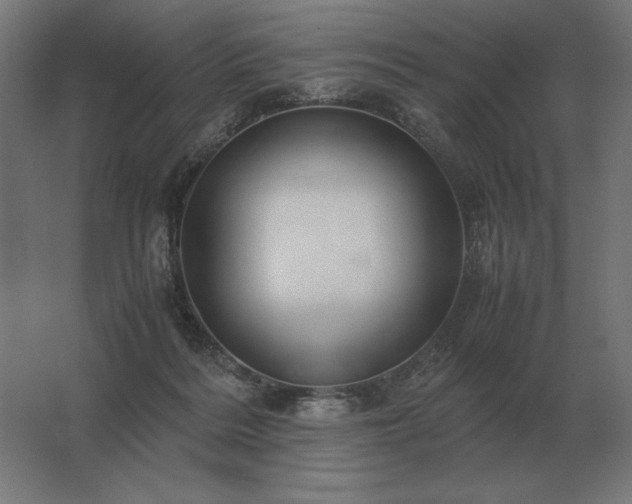 X0000062800220200512290257