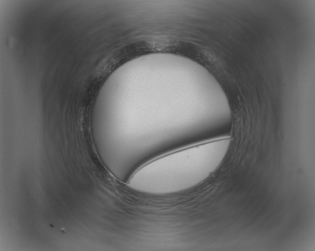 X0000062800221200512290257