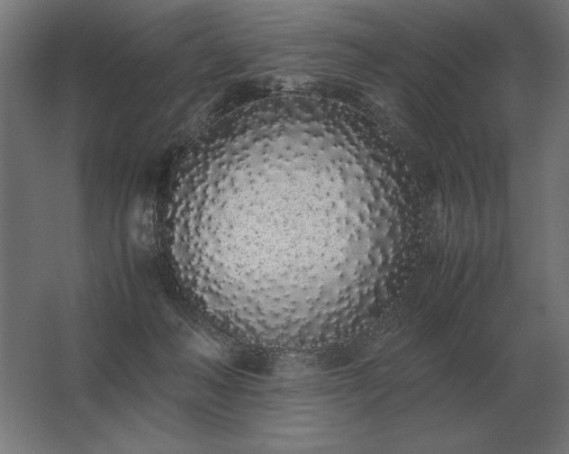 X0000062800222200512290257