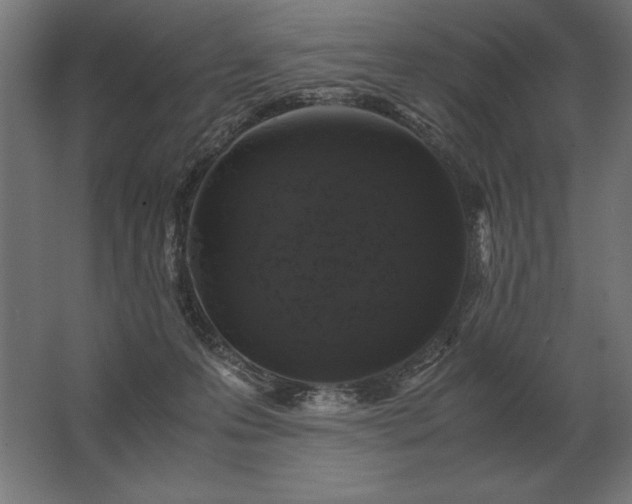 X0000062800223200512290257