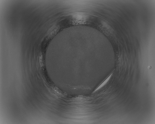 X0000062800224200512290257